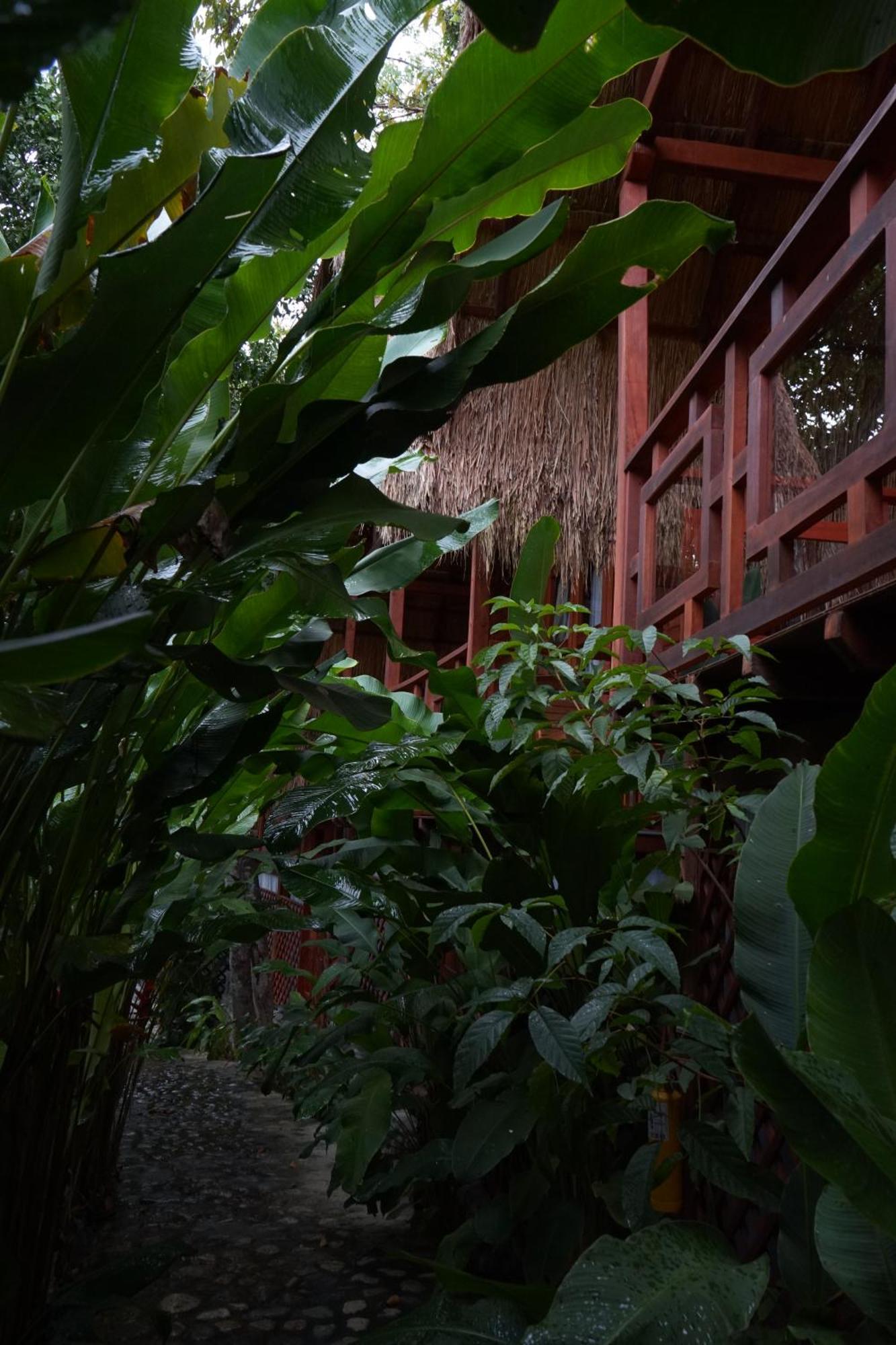 Bio Rio Hotel San Jeronimo  Exterior photo